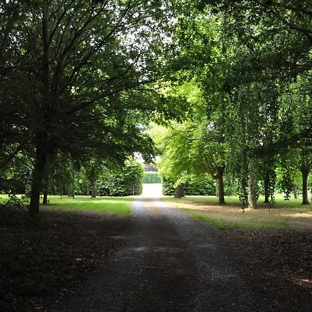 La Des Tilleuls Bed & Breakfast