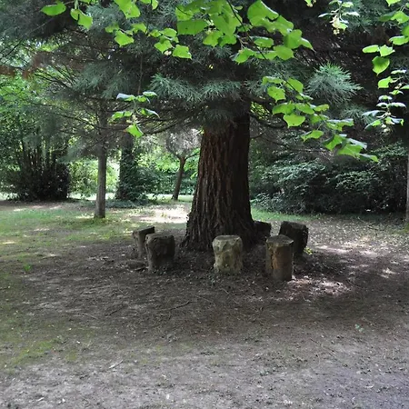 La Des Tilleuls Bed & Breakfast Cambremer